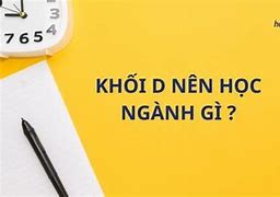 23Đ Khối D Học Ngành Gì