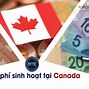 Học Nha Sĩ Ở Canada