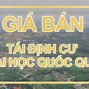 Khu Tái Định Cư Trường Đại Học Quốc Gia Lietuva Ở Đâu