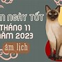 Sinh Con Tháng 11 Âm Lịch Ngày Nào Đẹp