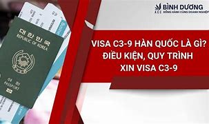 Visa Hàn C3 9 1